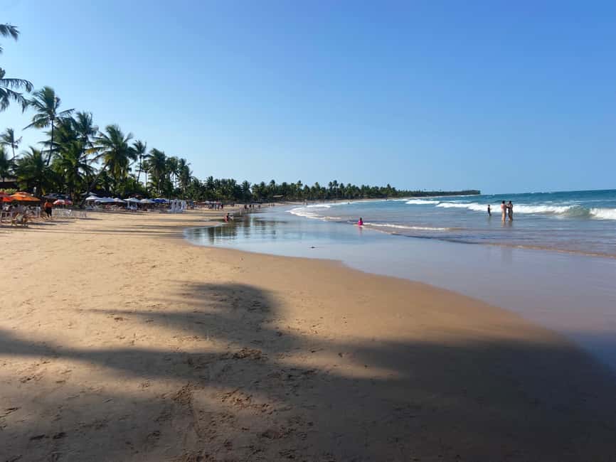 image n.5 of Transfers between Salvador and Barra Grande Maraú activity in Northeast Region, Brazil, uploaded by supplier