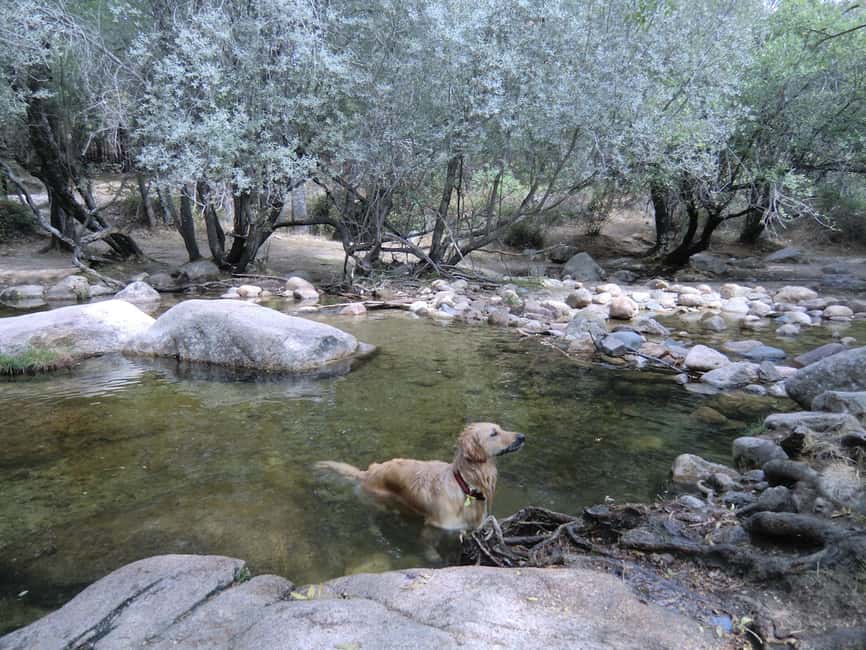 imagen n.º 3 de Desde Madrid: excursión de un día a la Sierra de Guadarrama actividad en Comunidad de Madrid, subida por el proveedor