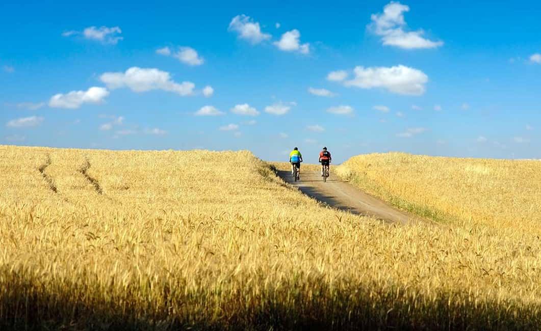 Immagine nº 1 di Da Siena: tour in bici elettrica nel Chianti attività a Siena, caricata dal fornitore