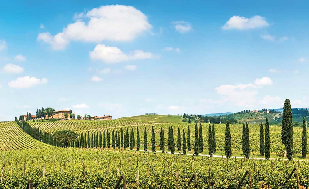 Immagine nº 2 di Da Siena: tour in bici elettrica nel Chianti attività a Siena, caricata dal fornitore