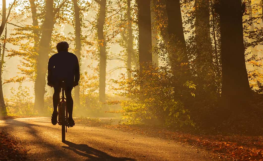 Immagine nº 3 di Da Siena: tour in bici elettrica nel Chianti attività a Siena, caricata dal fornitore