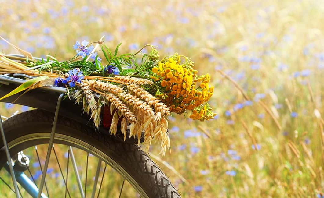 Immagine nº 4 di Da Siena: tour in bici elettrica nel Chianti attività a Siena, caricata dal fornitore