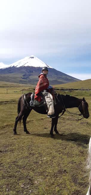 Immagine nº 1 di Vulcano Cotopaxi: escursione a cavallo di un'intera giornata per principianti attività a Cantone di Latacunga, caricata dal fornitore