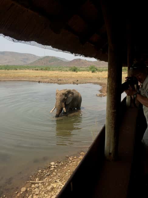 imagem n.28 de De Joanesburgo: Safari de vida selvagem em Pilanesberg atividade em Noroeste, África do Sul, carregada pelo fornecedor