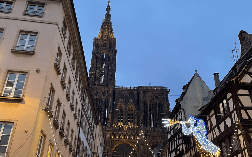 imagem n.5 de Estrasburgo: excursão a pé pelos mercados de Natal com vinho quente atividade em Estrasburgo, carregada pelo fornecedor