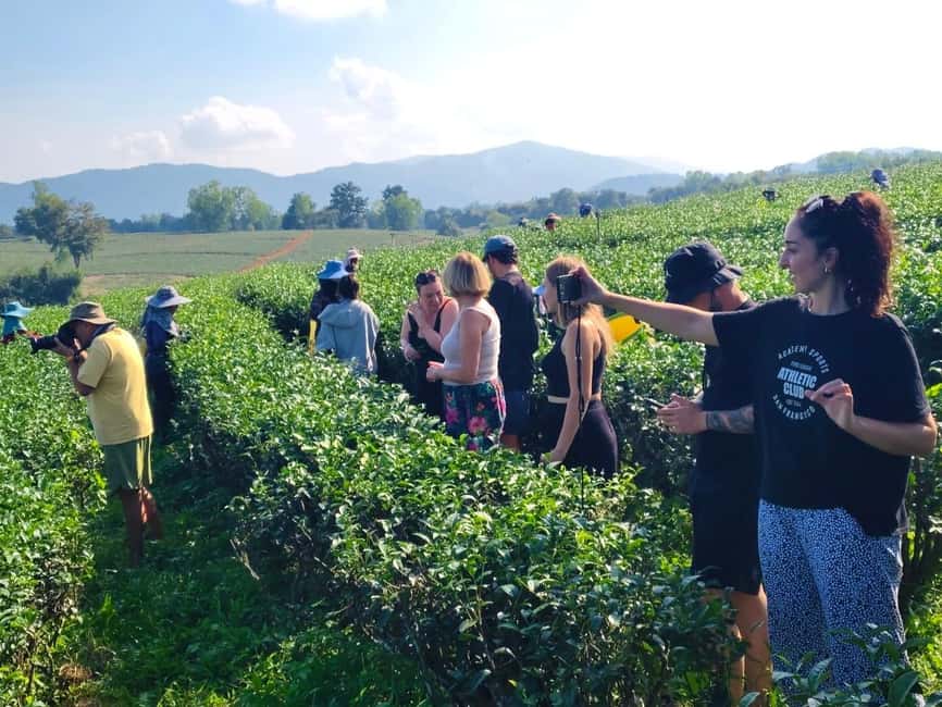 image n.86 of Chiang Rai Discovery:7 Attractions, Tickets & Lunch Included activity in Chiang Rai, uploaded by supplier
