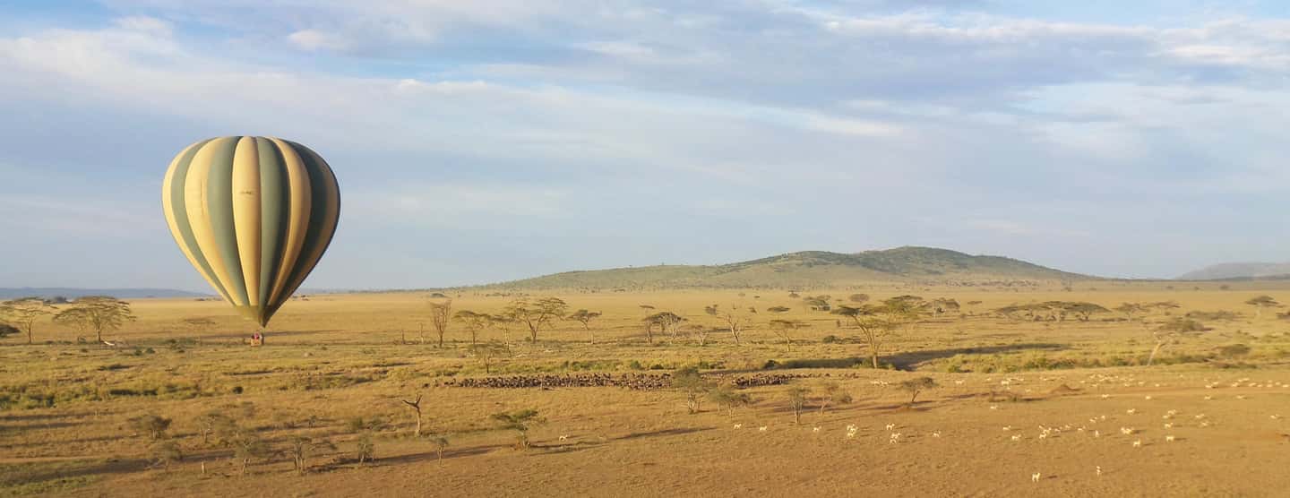 Image N°28 de Parc national du Serengeti : Safari en montgolfière à l'aube activité à Région de Mara, publiée par le prestataire