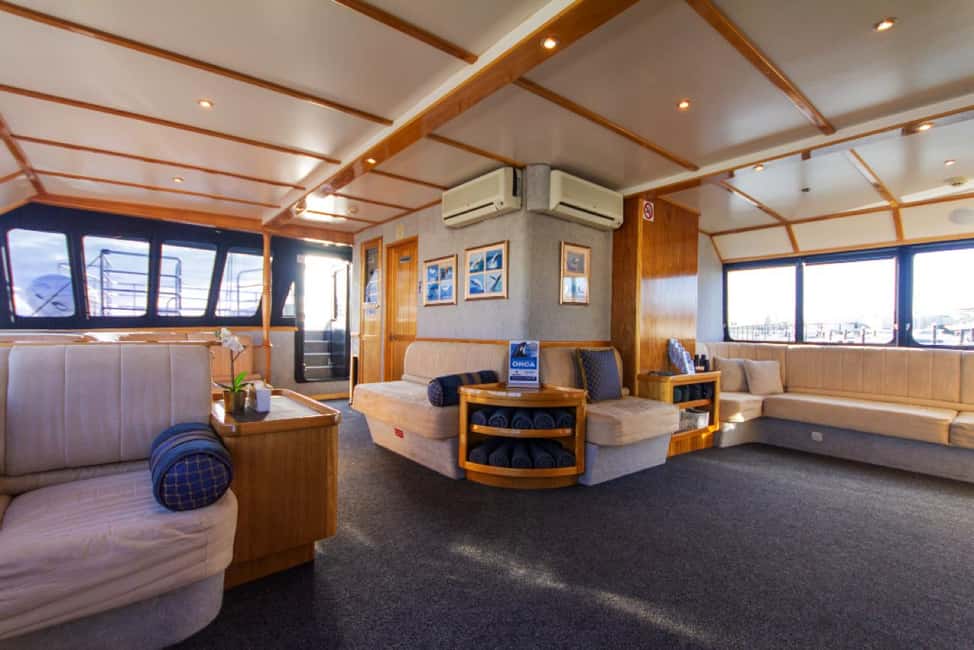 image n.10 of From Fremantle: 2-Hour Luxury Whale-Watching Cruise activity in Fremantle, uploaded by supplier