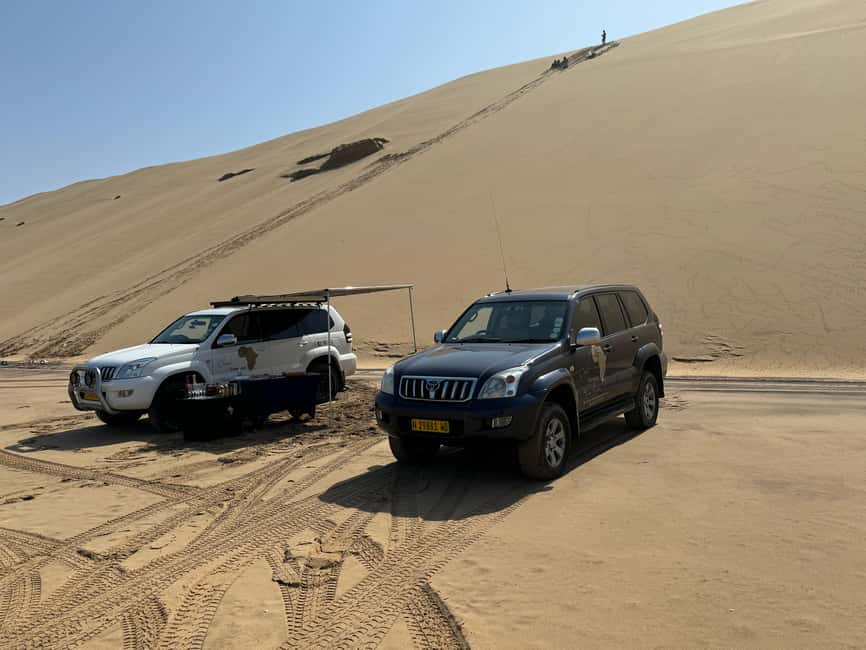 image n.65 of Walvisbay: Sandwich Harbour 4x4 Tour-Unparalleled Experience activity in Erongo, uploaded by supplier