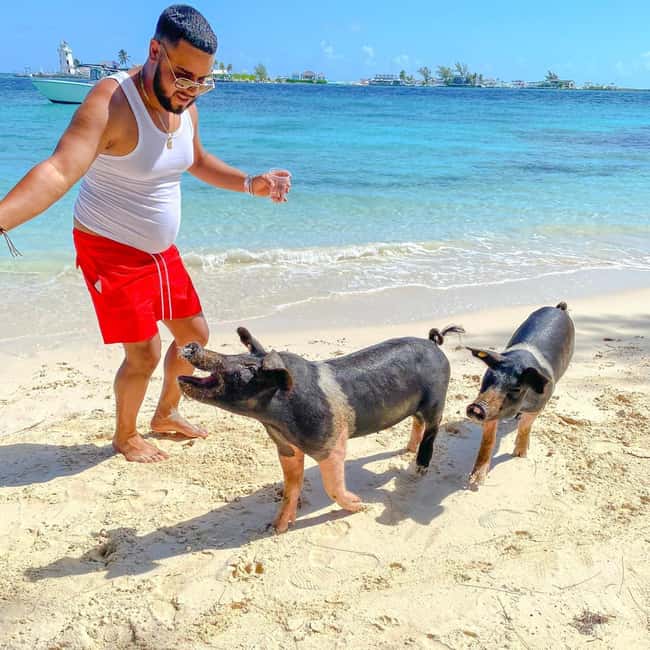 Image N°4 de Depuis Nassau : Nager avec des cochons Safari activité à Nassau, Bahamas, publiée par le prestataire