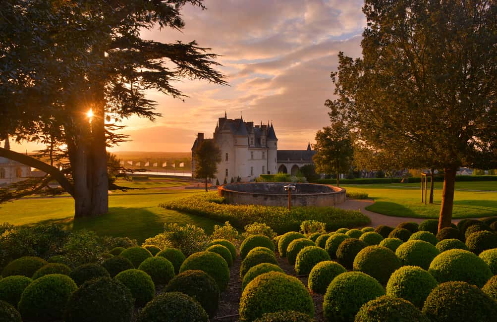 image n.2 of Exclusive Wine Day Trip Loire Valley from Paris activity in Amboise, uploaded by supplier
