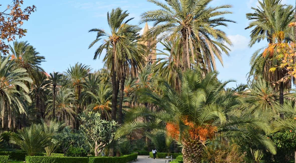 image n.2 of Palermo: Timeless Art & Architecture Trail activity in Palermo, uploaded by supplier