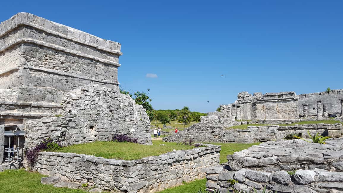 Image N°7 de Tulum : ruines mayas et tour de Sian Kaan avec tour en bateau et déjeuner activité à Tulum, publiée par le prestataire