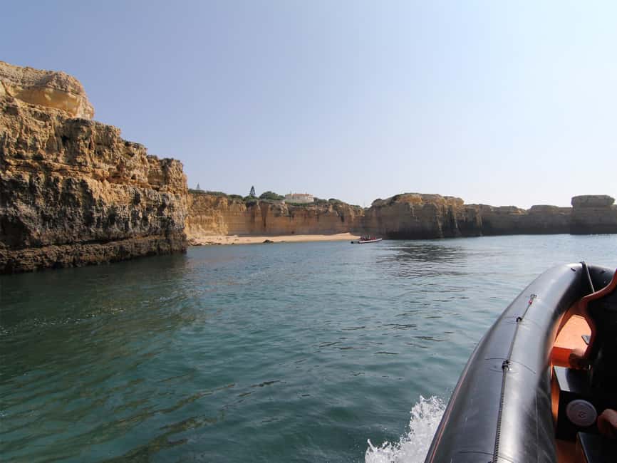 image n.2 of Dolphin Safari and Cave Tour in Vilamoura activity in Vilamoura, uploaded by supplier