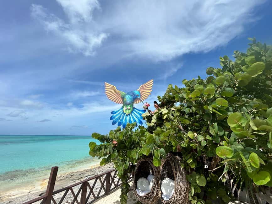 Image N°43 de Nassau : Cochons, plongée en apnée, tortues, déjeuner, club de plage privé activité à New Providence, publiée par le prestataire