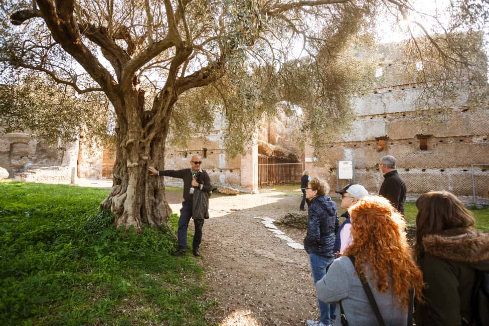 image n.9 of Rome: Hadrian's Villa and Villa d'Este Half-Day Tour activity in Tivoli, Lazio, uploaded by supplier