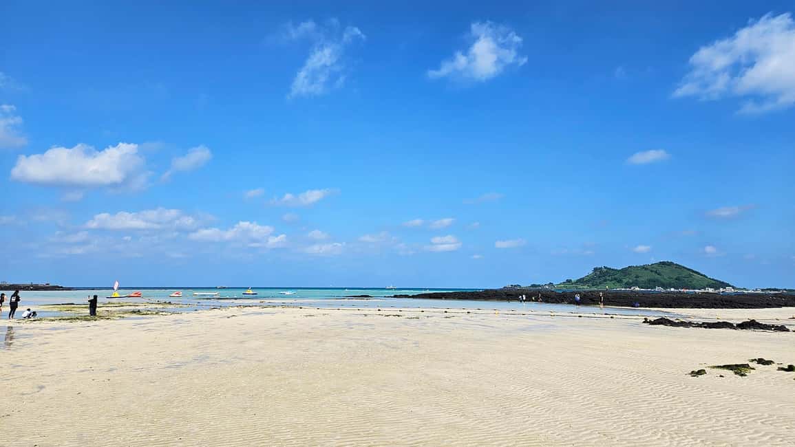 image n.3 of Jeju Island: Full-Day SouthWest Bus Tour with Entry Fees activity in Seogwipo-si, uploaded by supplier