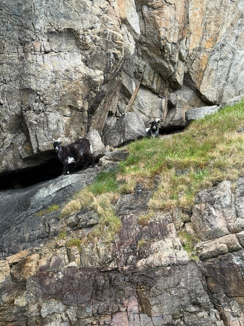 image n.15 of From Stavanger: Lysefjorden & Pulpit Rock Safari by RIB activity in Rogaland, uploaded by supplier