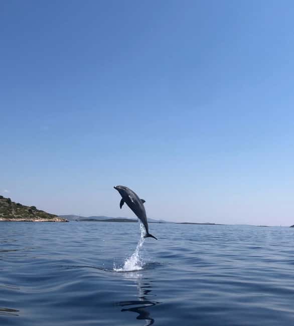 image n.5 of Zadar: 3-Island Luxury Speedboat Tour with Snorkeling activity in Dalmatia, uploaded by supplier