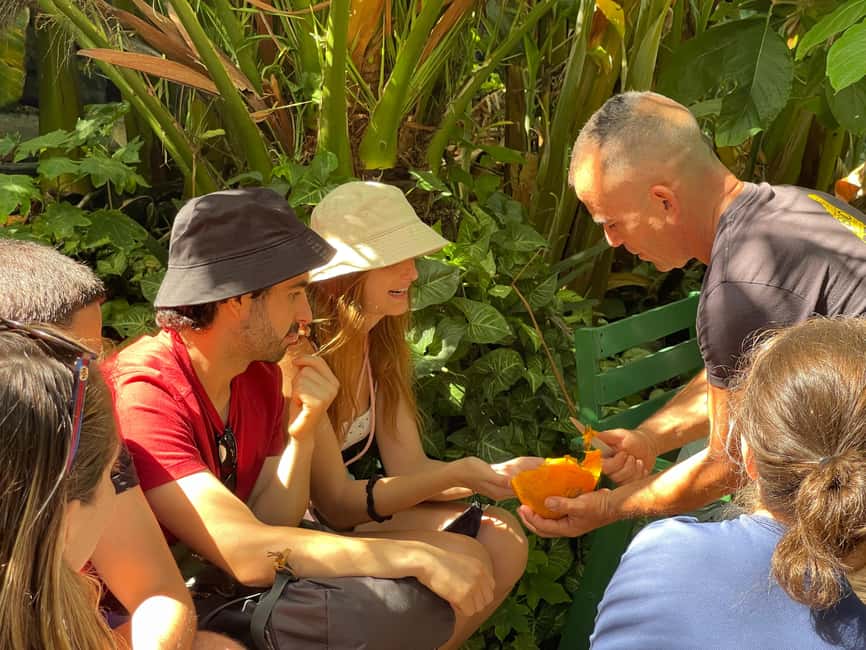 Bild Nr. 3 von La Palma: Tour durch den essbaren Wald PlatanoLógico Aktivität in Kanaren, hochgeladen vom Anbieter