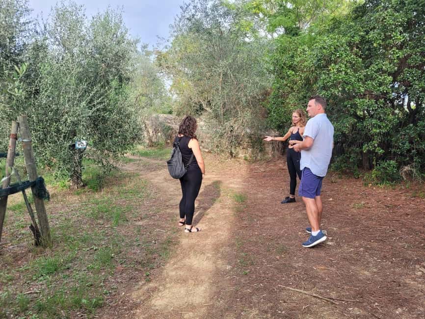 Immagine nº 6 di Firenze: Tour di mezza giornata in e-bike della campagna toscana con vino attività a Firenze, caricata dal fornitore