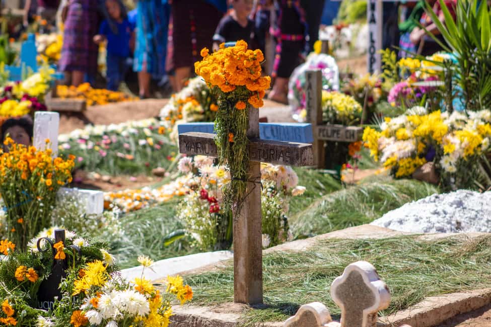 image n.17 of Mexico City: Day of the Dead Guided Tour activity in Mexico City, uploaded by supplier