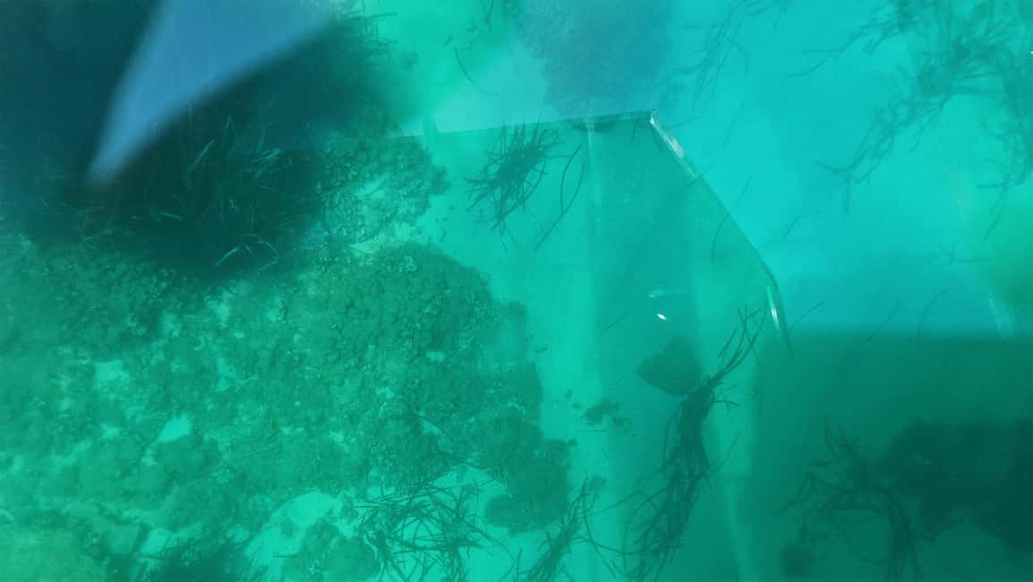 image n.6 of Syracuse: Coast and Sea Caves Full Transparent Boat Tour activity in Syracuse, uploaded by supplier