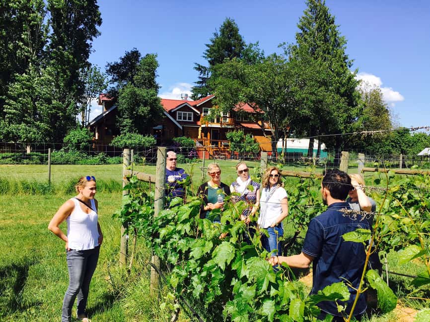 image n.1 of 6-Hour Victoria to Cowichan Wine Tour activity in Victoria, British Columbia, uploaded by supplier