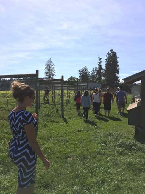 image n.2 of 6-Hour Victoria to Cowichan Wine Tour activity in Victoria, British Columbia, uploaded by supplier