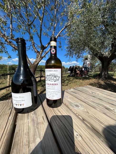 imagen n.º 3 de Siena: tour en tuk tuk con cata de vinos actividad en Siena, subida por el proveedor