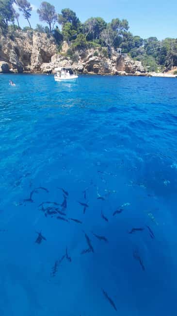 afbeelding n.25 van Privétour op een zeilboot - Zwemmen en pootjebaden - Kaap van Antibes activiteit in Antibes, geüpload door aanbieder