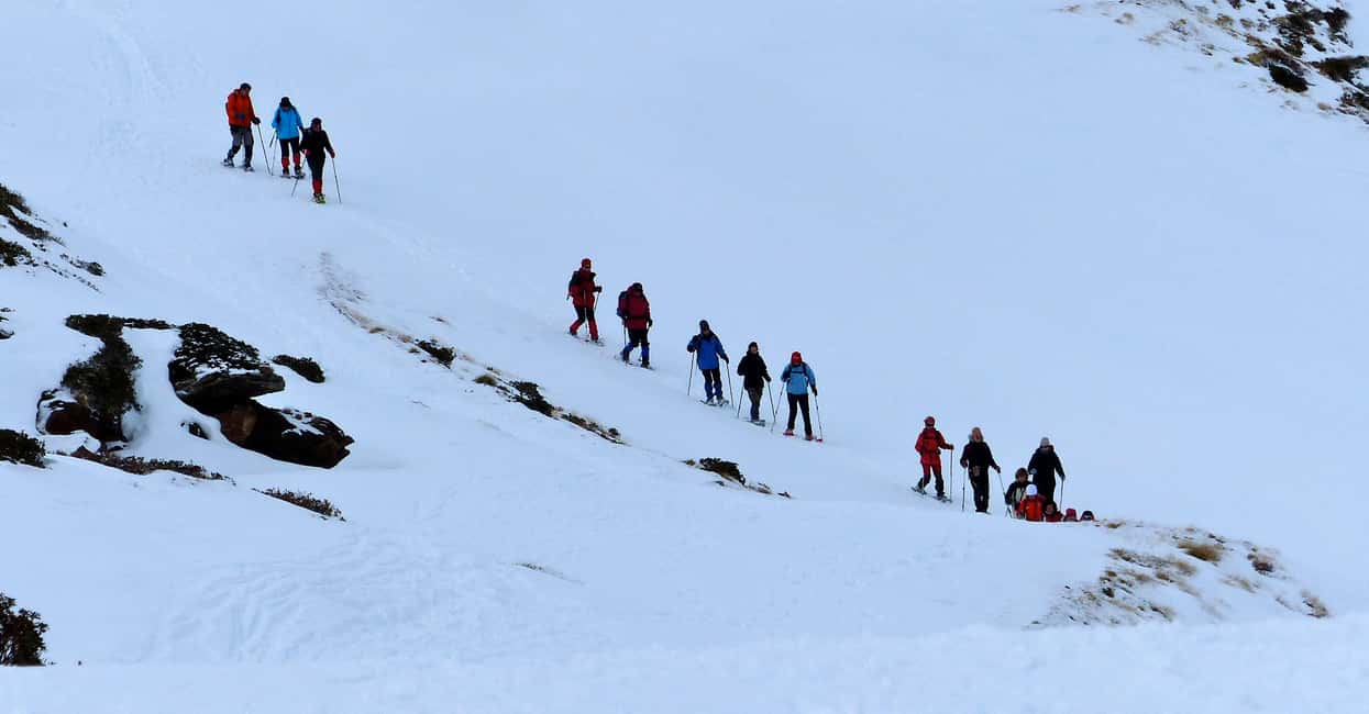 image n.3 of Pyrenees: A-day Hike with a Choice of 3 Levels activity in Barcelona, uploaded by supplier
