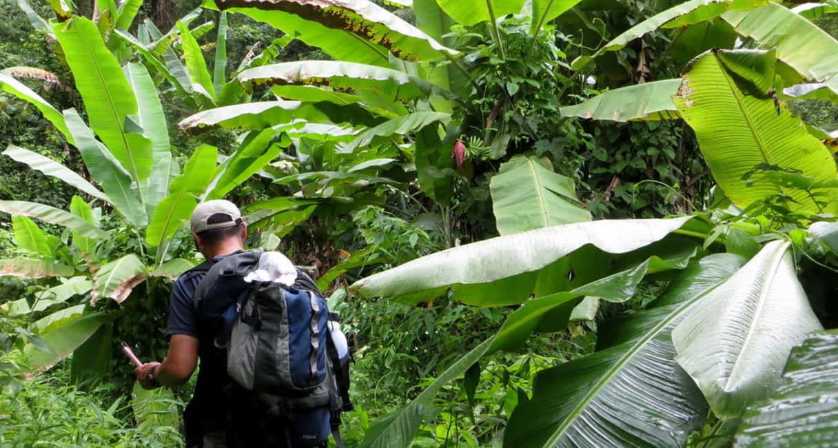 image n.6 of From Chiang Mai: High Mountain Day Trek activity in Chiang Mai Province, uploaded by supplier