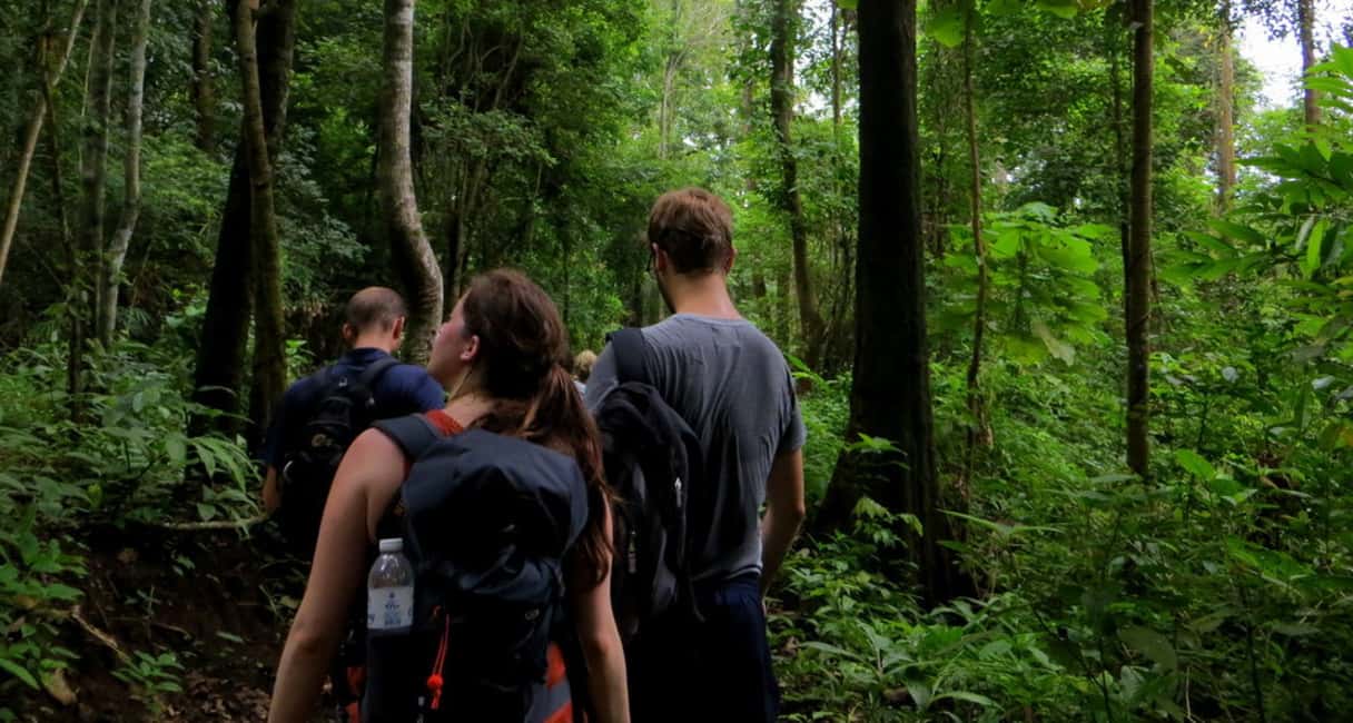 image n.8 of From Chiang Mai: High Mountain Day Trek activity in Chiang Mai Province, uploaded by supplier