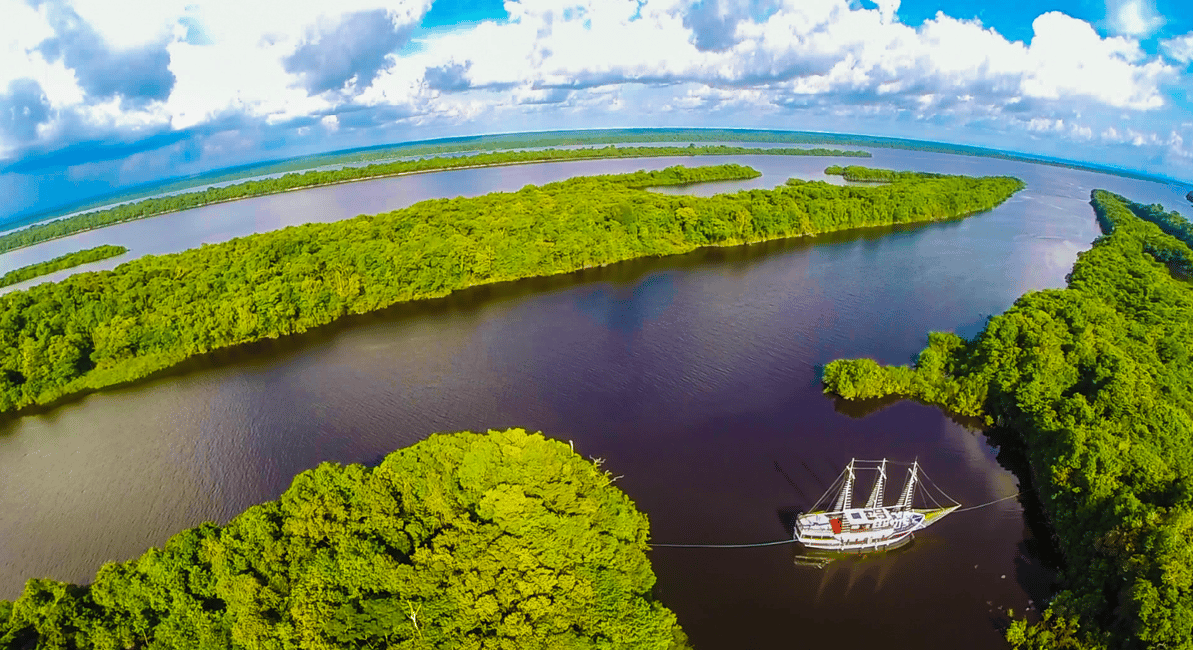 imagen n.º 1 de Manaos: Tour de día completo por el río Amazonas actividad en Manaos, subida por el proveedor