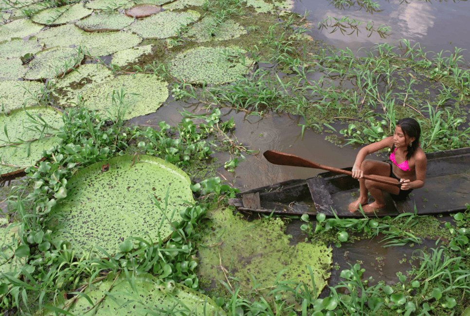 imagen n.º 6 de Manaos: Tour de día completo por el río Amazonas actividad en Manaos, subida por el proveedor