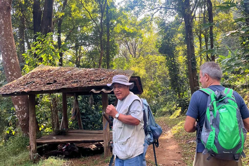 image n.4 of From Chiang Mai: High Mountain Day Trek activity in Chiang Mai Province, uploaded by supplier