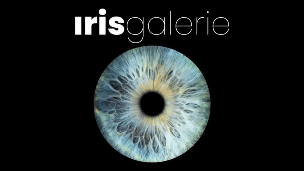 bild nr.1 av Tromsö: Reveal Your Eye Experience på Iris Galerie aktivitet i Barents hav, uppladdad av arrangören