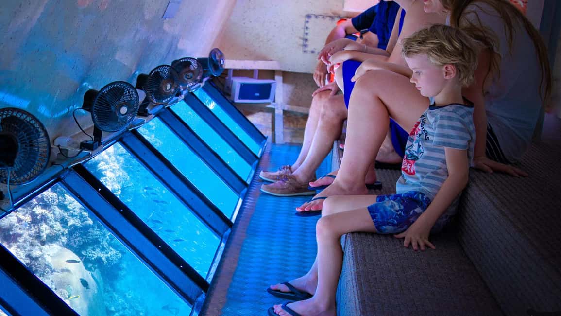 image n.6 of Cairns: Frankland Islands Great Barrier Reef Tour activity in Queensland, uploaded by supplier