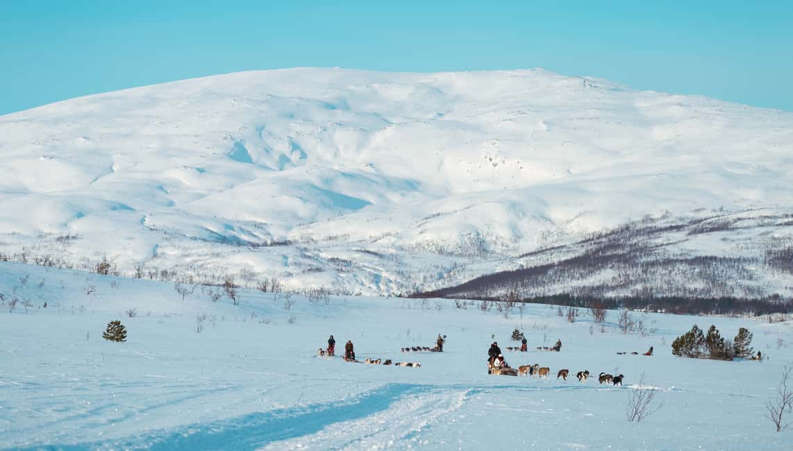 bilde nr.3 av Tromsø: Husky-sledekjøring med tradisjonell lunsj aktivitet i Tromsø, lastet opp av leverandør