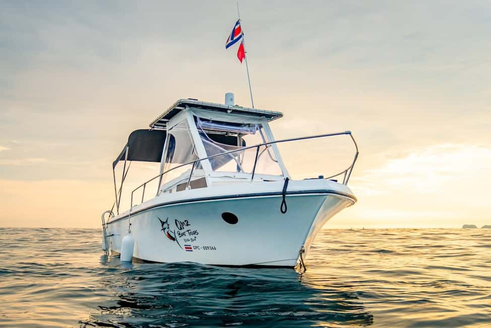 Immagine nº 12 di Costa Rica: avvistamento delfini e snorkeling con charter privato attività a Santa Cruz, Costa Rica, caricata dal fornitore