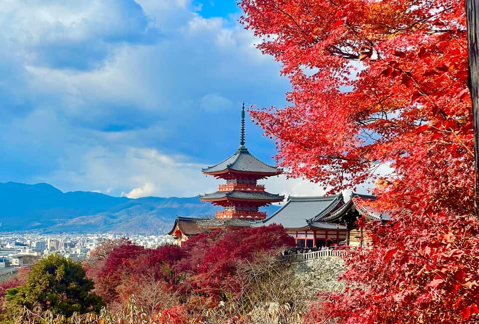 ondo　京東都　清水寺　伏見稲荷　ストール　京都　kyoto 京都：伏見稲荷大社と清水寺（スペイン語ガイド） | GetYourGuide