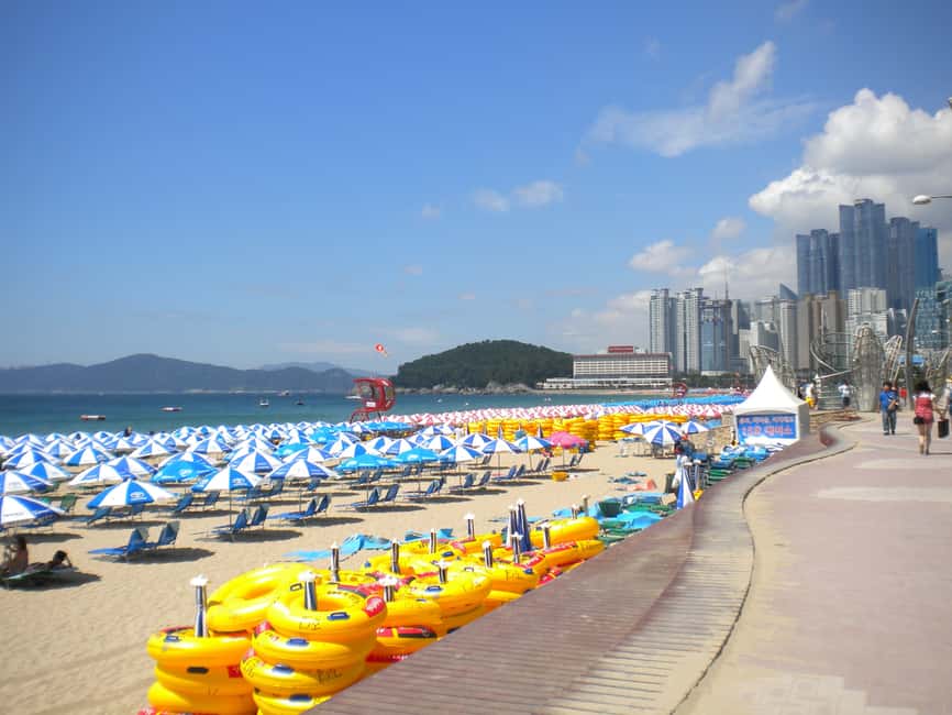 image n.2 of Busan Private Tour with a Local activity in Busan, uploaded by supplier