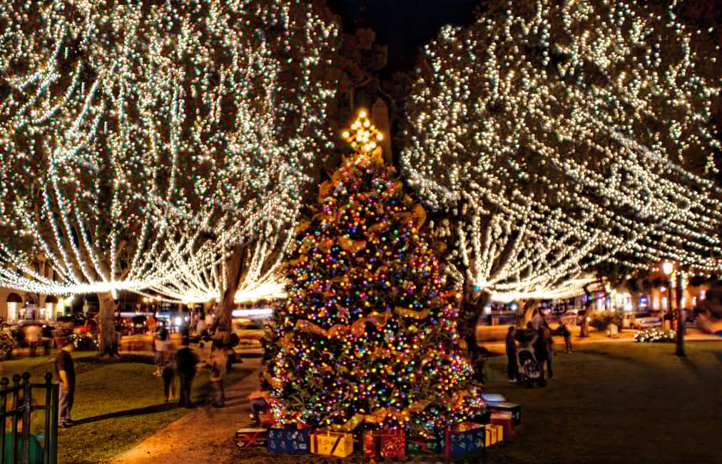 image n.3 of Nights of Lights Celebration in St. Augustine activity in St. Augustine, Florida, uploaded by supplier