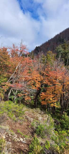 image n.7 of Lago Puelo: Andinean Day Hike activity in Chubut Province, uploaded by supplier