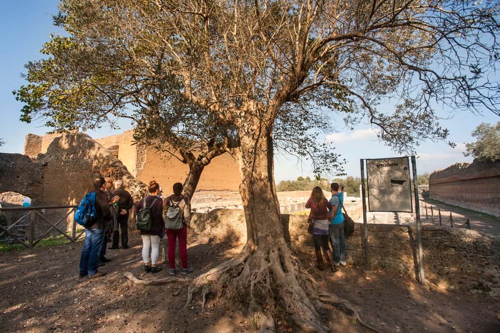 image n.22 of Rome: Hadrian's Villa and Villa d'Este Half-Day Tour activity in Tivoli, Lazio, uploaded by supplier