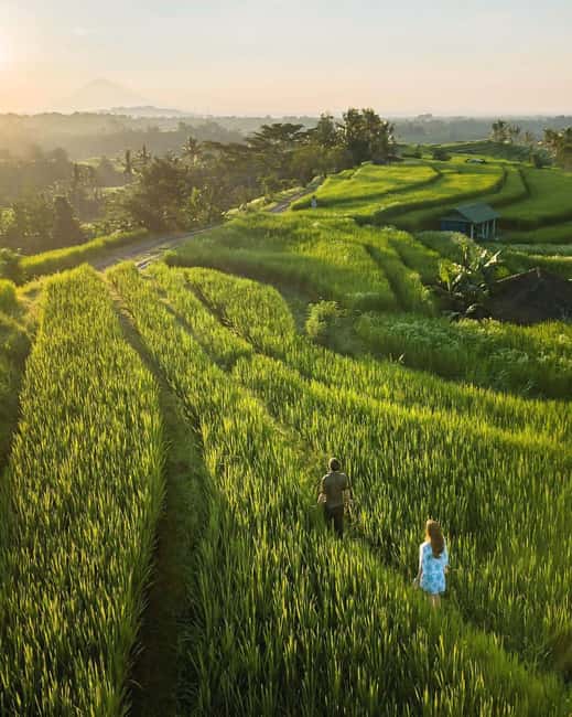 image n.10 of North Bali: Sekumpul and Banyumala Waterfalls & Rice Terrace activity in Bali, uploaded by supplier