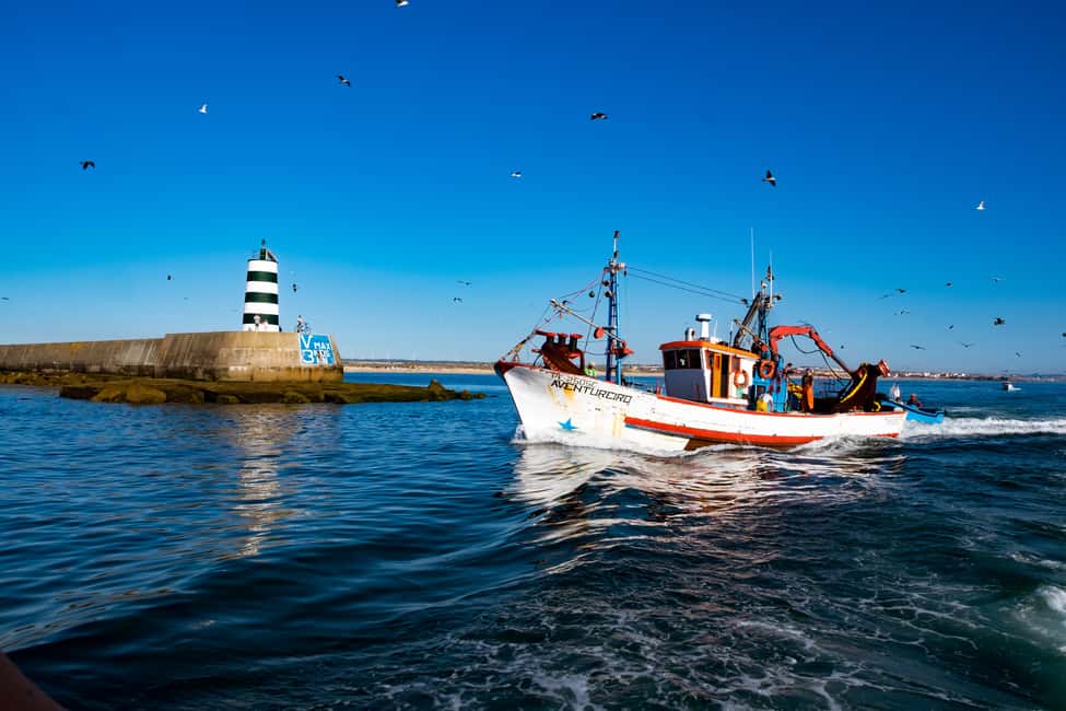 image n.20 of Berlengas The Atlantic Frontier: Day Tour from Lisbon activity in Peniche, uploaded by supplier