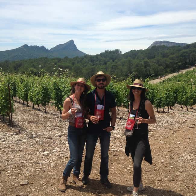 imagem n.10 de Montpellier: Excursão vinícola Pic Saint-Loup atividade em Sul da França, carregada pelo fornecedor