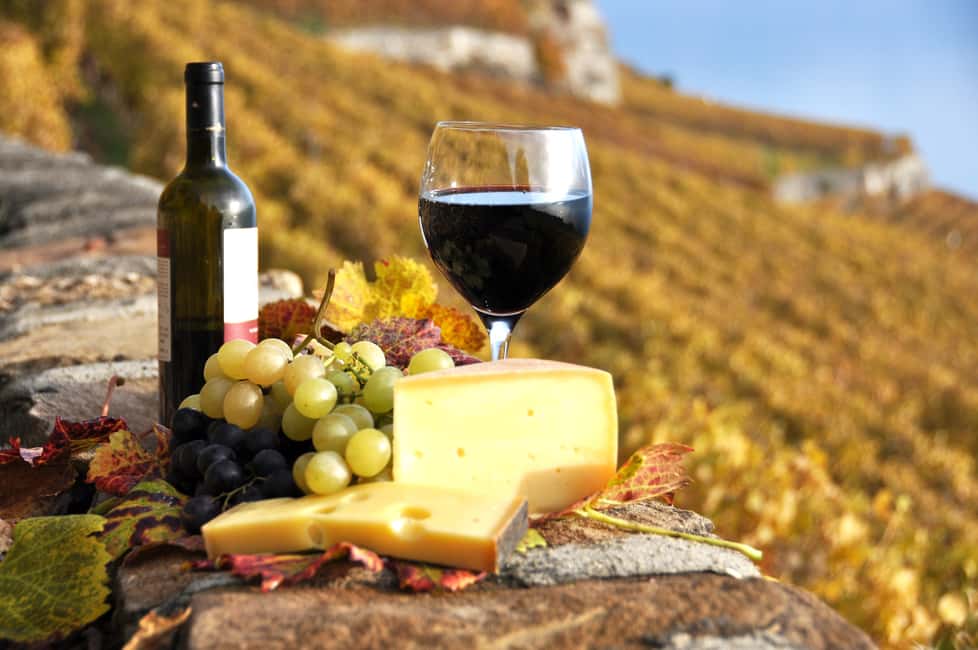 image n.12 of Exclusive Wine Day Trip Loire Valley from Paris activity in Amboise, uploaded by supplier